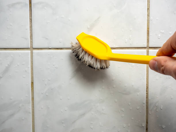 Best Kitchen Mold Remediation in East Flat Rock, NC